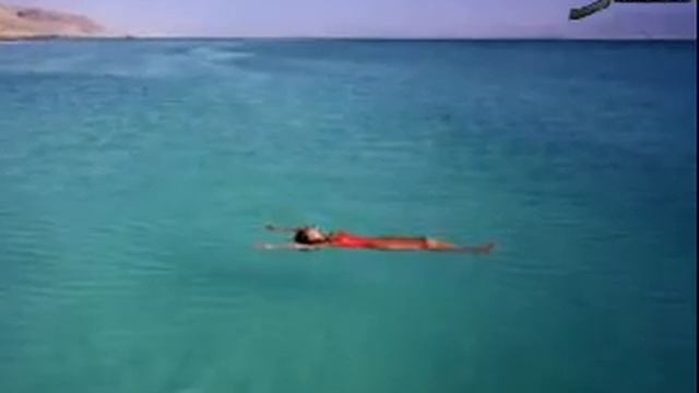 Shumilin Travel&Tourism Dead Sea смотреть онлайн