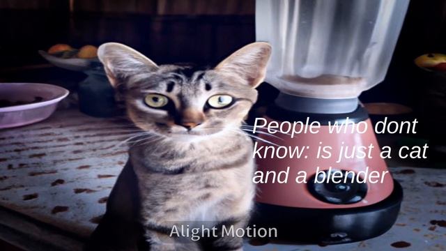 R.I.P cat in blender смотреть онлайн