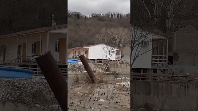 шепси смотреть онлайн