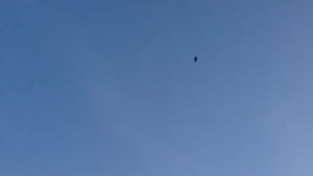 Вальдшнеп 3 смотреть онлайн