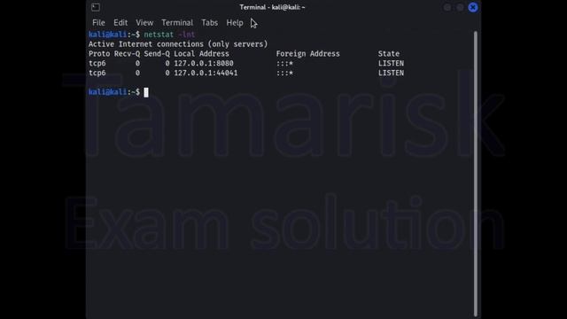 48.Tamarisk-WEB200-SSRF_01_01-Interacting With The Vulnerable Server