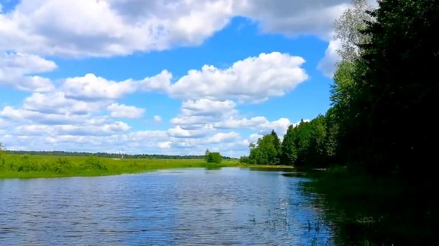 ЗАГОРОДОМ / RELAX VIDEO / ПЕНИЕ ПТИЦ / IN the FOREST / LAKE / SOUND of NATURE / ЛЕТО 2017 смотреть онлайн