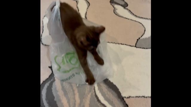 🎥 Давайте знакомиться ближе! 💖 смотреть онлайн