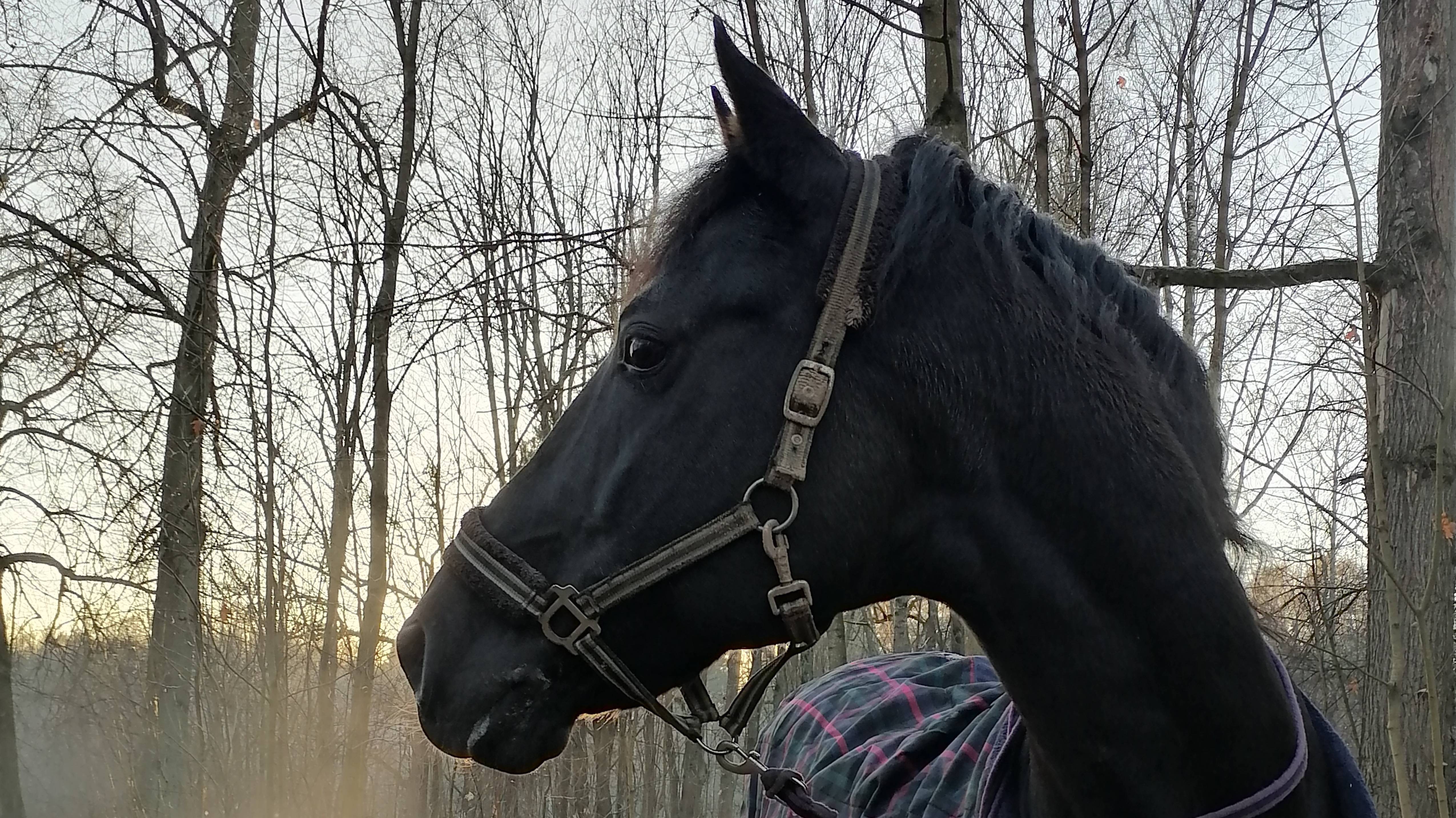 VID_20250224_144058 смотреть онлайн