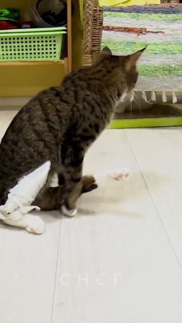 Приют Люськин дом смотреть онлайн