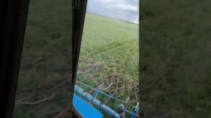 Боронование озимых