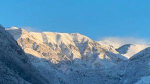 Постройка укрытия в дупле дерева: создание уютного убежища из камней, палок и мха