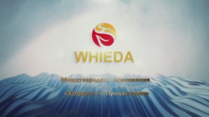 О новой сетевой компании Whieda