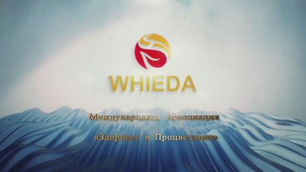 О новой сетевой компании Whieda