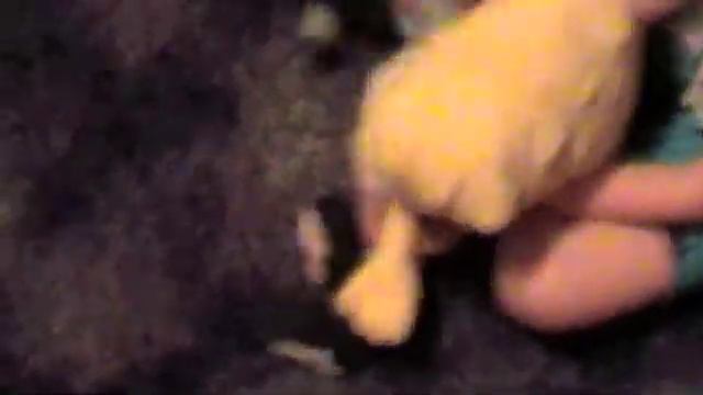 Пацантре-2 смотреть онлайн