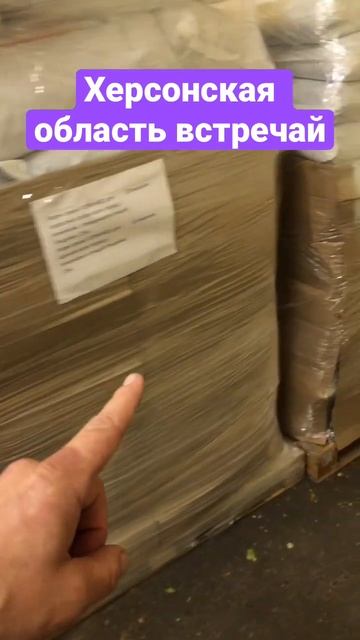 Отправляем по всей России. #собака #кот #shorts смотреть онлайн