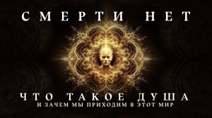 Смерти не существует? Или нам просто не говорят всей правды?
