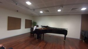 Ф.Шопен Прелюдии Op.28 № 20(c-moll),№22(g-moll), № 24 ( d-moll).