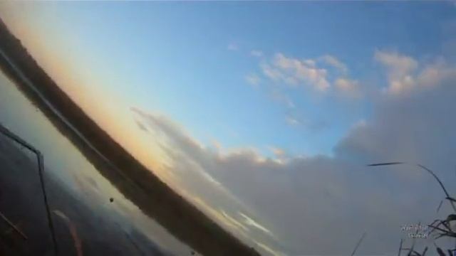 DRAKON . Как манить чирка .