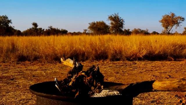 🔥 Relaxing Fire Sounds /// ASMR /// Звук костра, камин, огонь смотреть онлайн