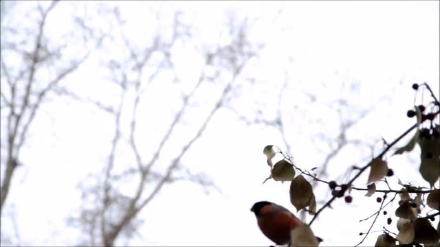 Яркие огоньки смотреть онлайн