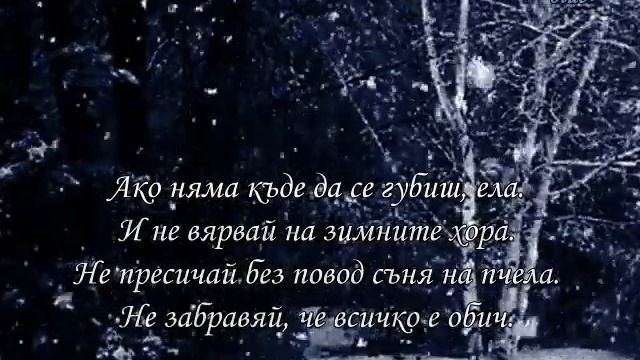 Не заспивай - Селвер смотреть онлайн