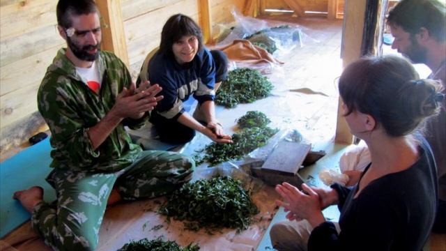 Integral Sustainability Education Crowd Fund Campaign смотреть онлайн