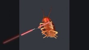 Жук танцует под песню