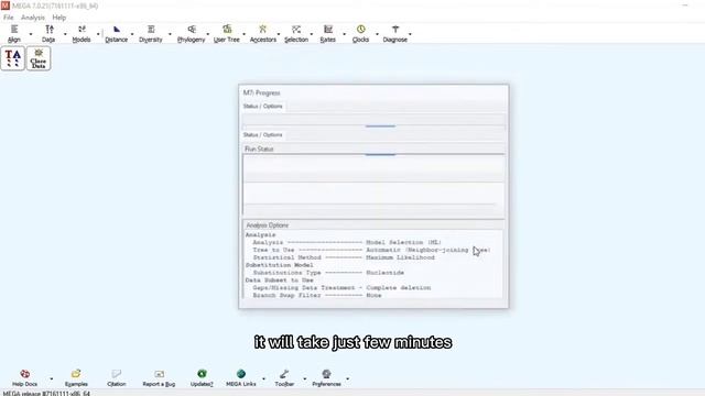 Phylogenetic tree | Tree formation in MEGA | Bioinformatics | Class # 04 смотреть онлайн