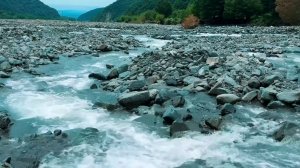 Строю Подвесное Укрытие на Дереве на 2 дня в Туманной долине с Моими Собаками и Голодной Совой