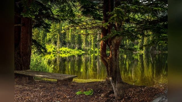 Тишина / Silence смотреть онлайн