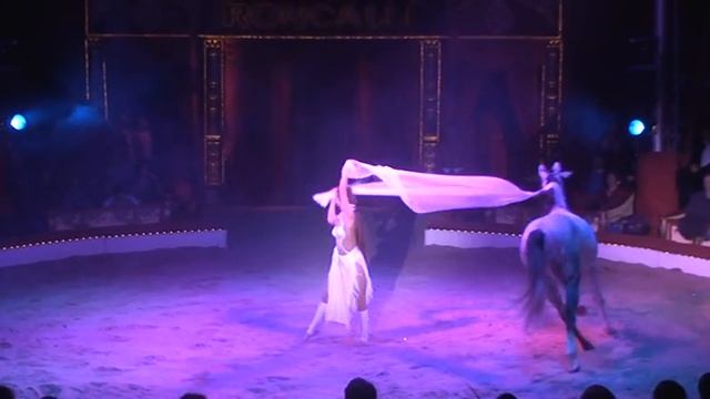 Circus Roncalli  Duo Urunov Liberty  Haute Ecole & Dressage