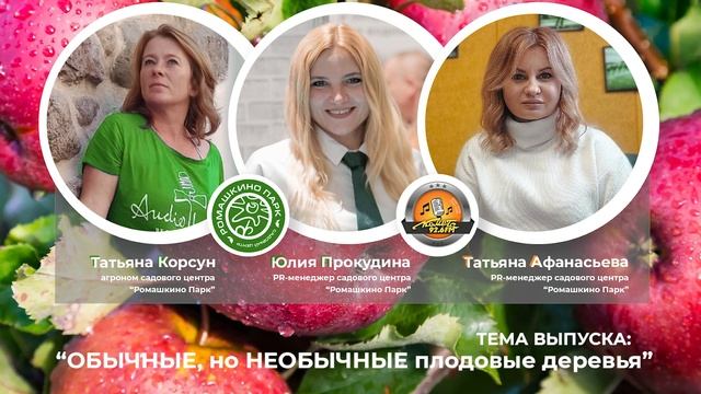 Про необычные яблони в эфире радио Комета смотреть онлайн