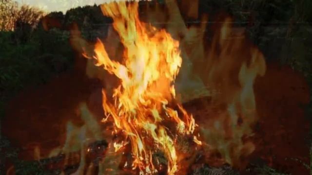 Огонь костра