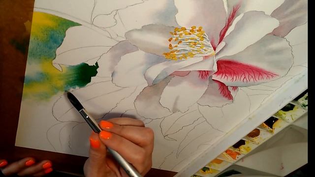 Wet on Wet Watercolor Technique смотреть онлайн
