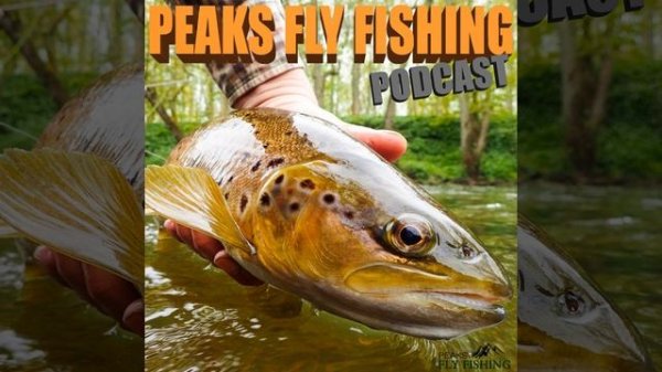 Peaks Fly Fishing Podcast - Fly Fishing For Grayling