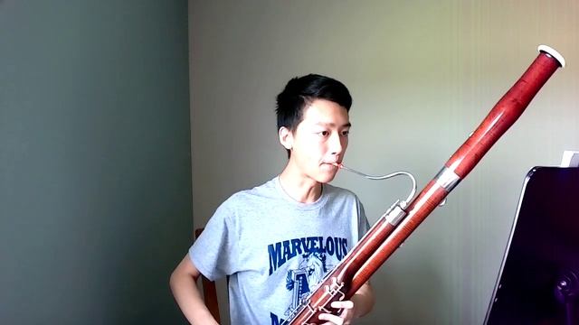 Marriage of Figaro Bassoon Excerpt смотреть онлайн
