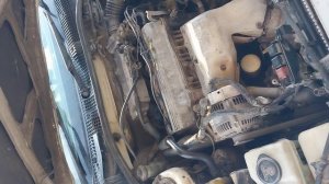 Проблема с коробкой ипсум