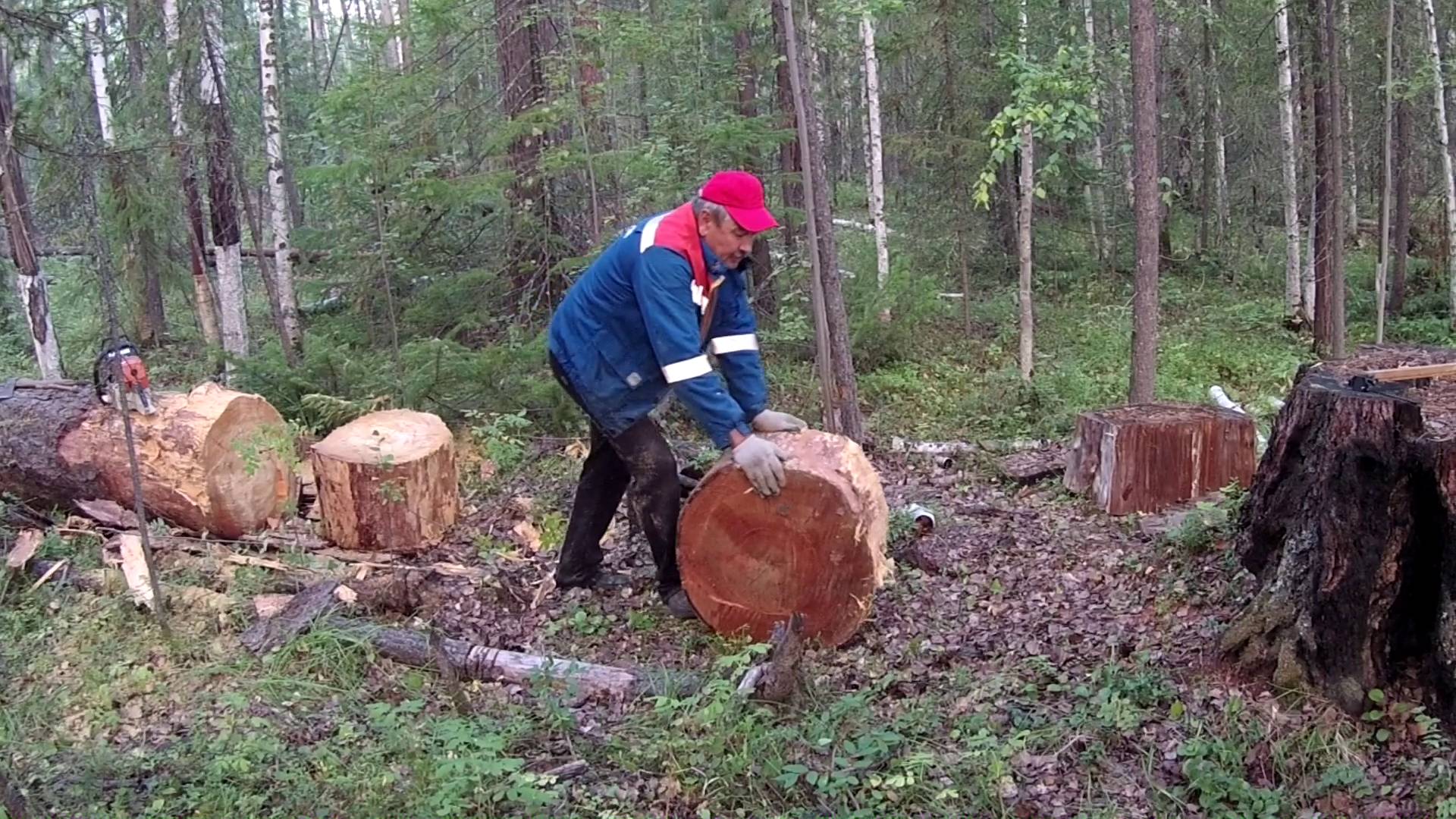Заготовка дров смотреть онлайн