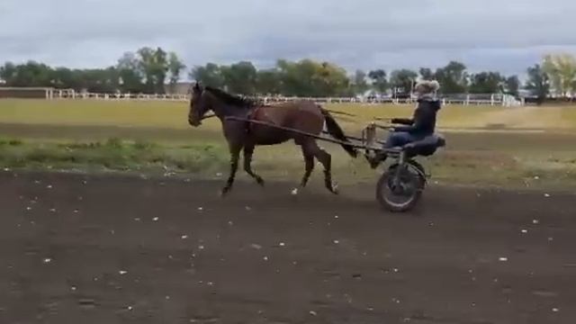 Поющий Ветер смотреть онлайн
