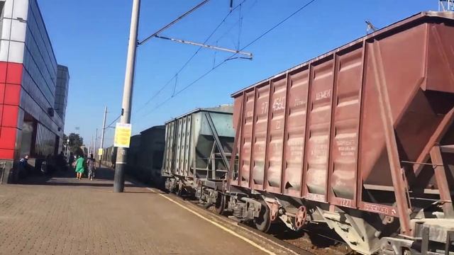 Вл80к 481 с тифоном