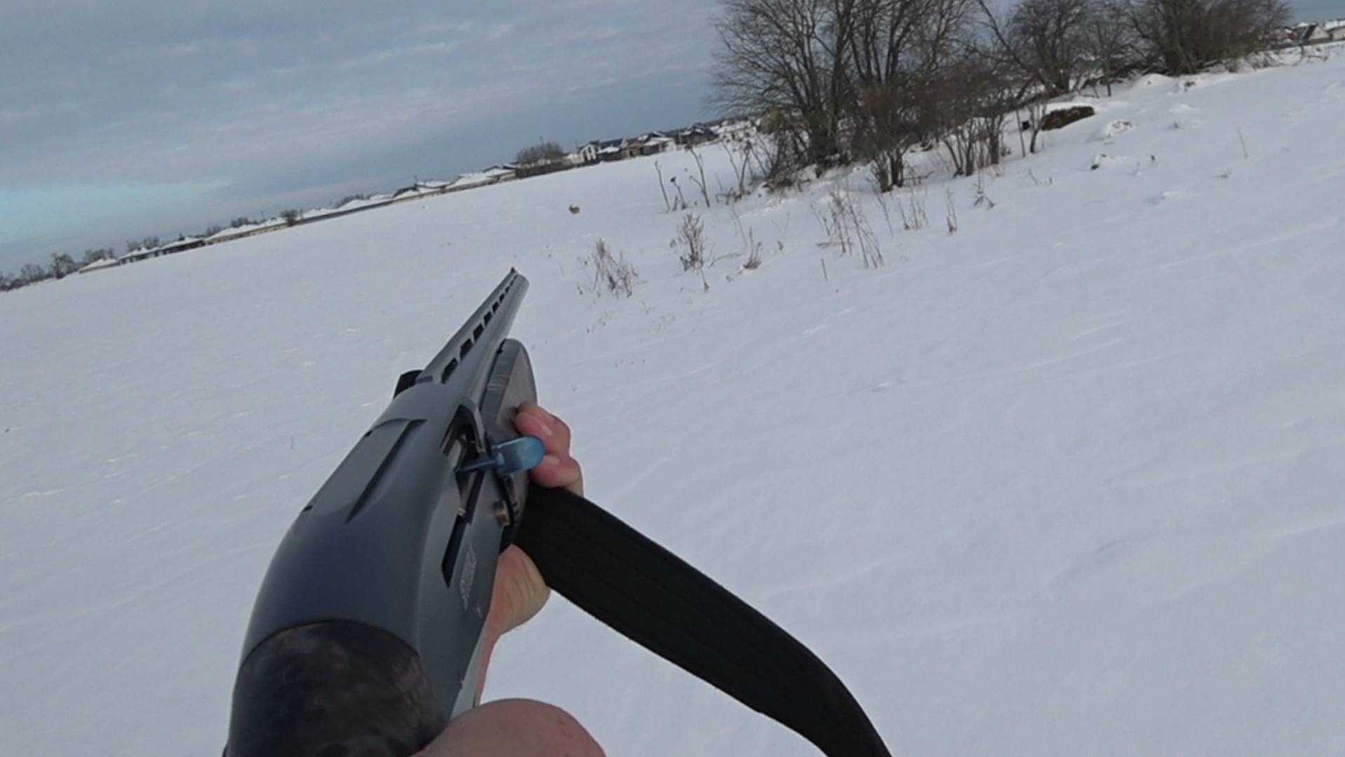 Охота в Ленинградской области сезон 2024-2025г. закрытие по пушнине.