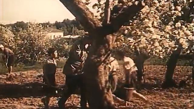 Педагогическая поэма (1955). Этот фильм обязан посмотреть каждый!