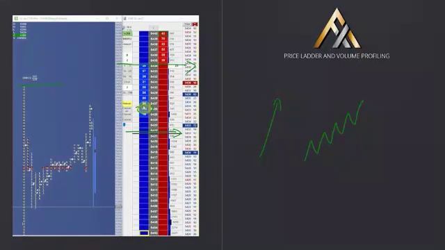 217. MODULE 3 - THE SPECIALIST PART 11-3 Profile Strategy and Price Action Video смотреть онлайн