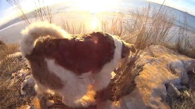 Ульяновск смотреть онлайн