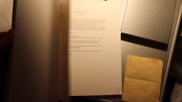 selected poems: Black Rembrandt (manuscript) -- tw смотреть онлайн