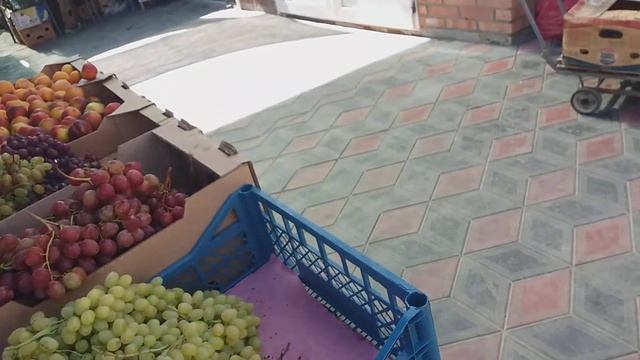 Начало Фрунзенского рынка смотреть онлайн
