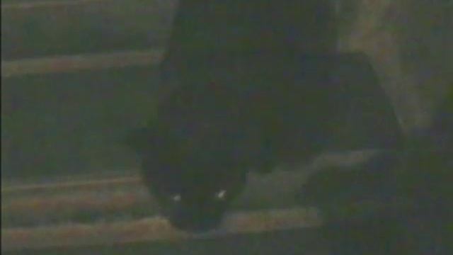 0161 Кеша Обрубков 2002