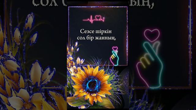 Әрбір жанның жүрегінде, бар өзінің арманы.