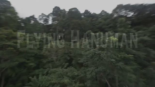 Nickolay, Irina, Flaing Hanuman смотреть онлайн