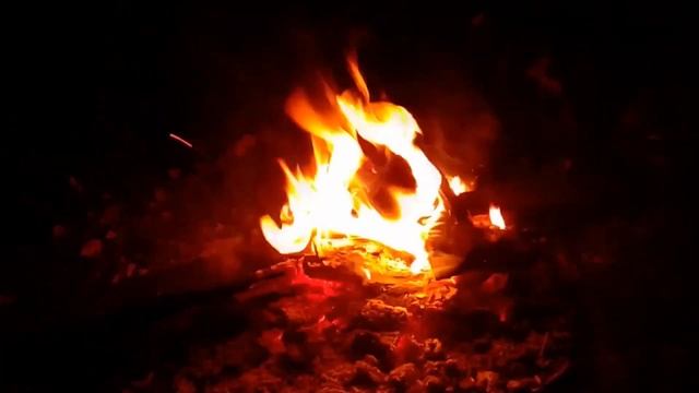 RELAX КОСТЕР с инопланетянами (реально без монтажа) смотреть онлайн