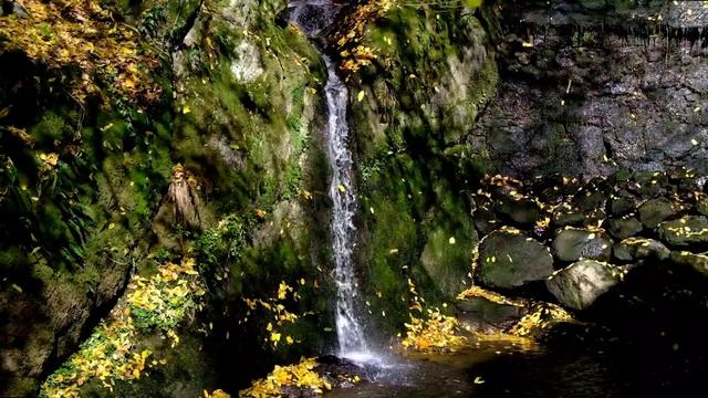 Убеждать желала правдой смотреть онлайн