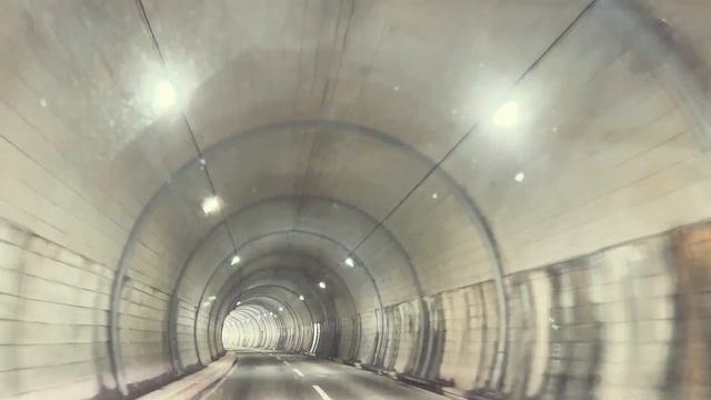 A PARTY OF MARIMO '23 смотреть онлайн