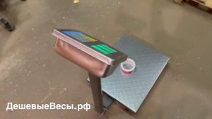 Весы Профит 806 (150;20;40х50) LCD | Весы товарные