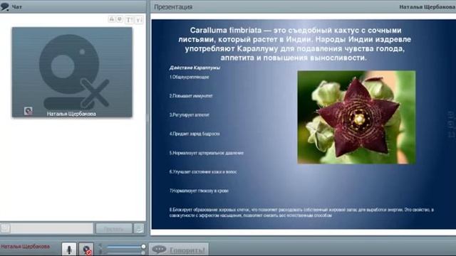 ШКОЛА по продукту компании SBC 'КАПСУЛЫ И ЗДОРОВЬЕ' ВРАЧ НАТАЛЬЯ ЩЕРБАКОВА смотреть онлайн